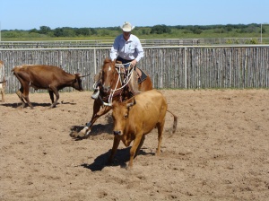 Tom Davis personal Horsemanship Clinic!